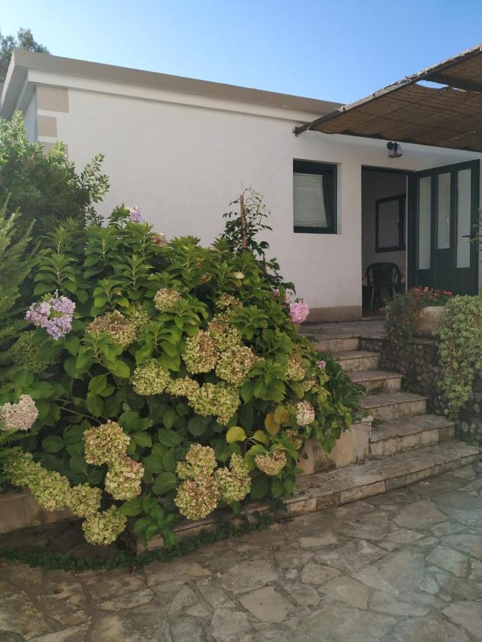 Kjara Apartments تيفات المظهر الخارجي الصورة
