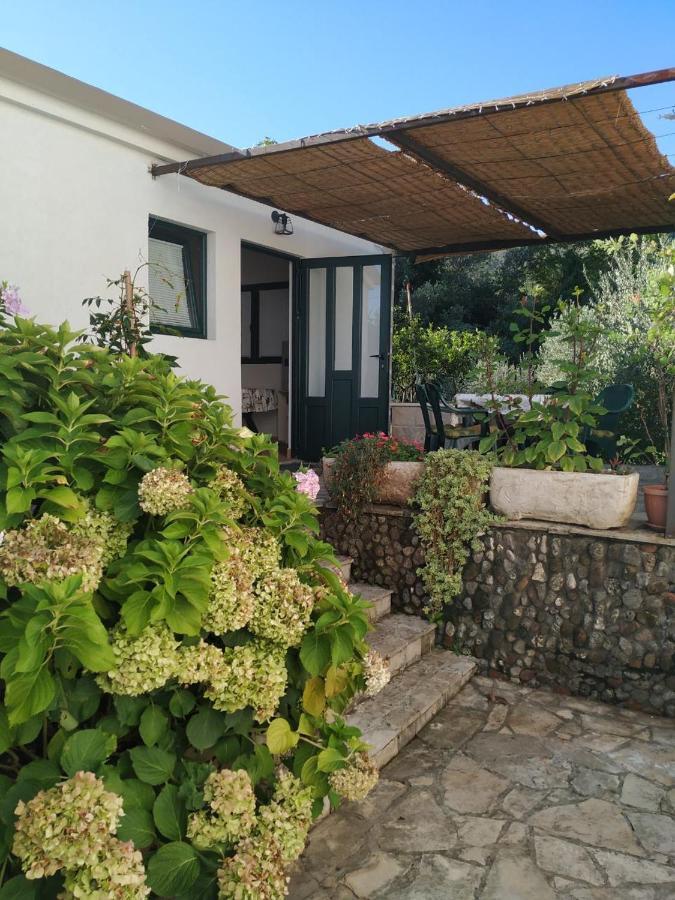 Kjara Apartments تيفات المظهر الخارجي الصورة